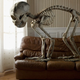 Illustration for article titled The Things Skeletons Do When Youre Not Looking